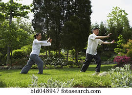 Senior Asian couple practicing tai chi Senior Asian couple practicing tai chi
