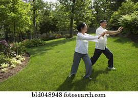 Senior Asian couple practicing tai chi