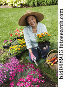 Senior Asian woman gardening Senior Asian woman gardening