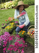 Senior Asian woman gardening Senior Asian woman gardening