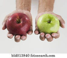 Close up of hands holding two apples 