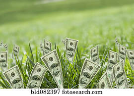 100 dollar bills growing in grass