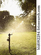 irrigador, aguando, gramado