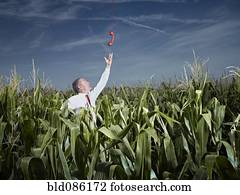 Caucasian businessman in corn field reaching for red telephone