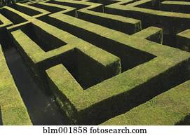 High angle view of labyrinth