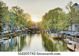 treelined, canal, veneza, itália