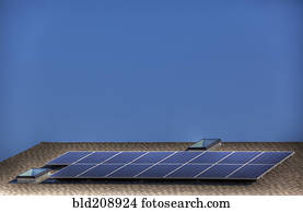 a, prado, em, falcão, cume