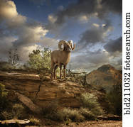 Ram on rock formation in desert