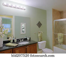 Well Furnished Bathroom