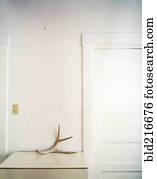 Antler on counter top