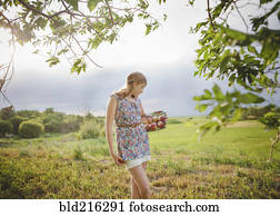 caucasiano, menina, fruta colheita, em, pomar