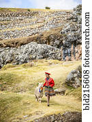 hispânico, menina, andar, lhama, em, paisagem rural