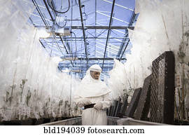 cientista, em, ação judicial limpa, trabalhando, em, estufa