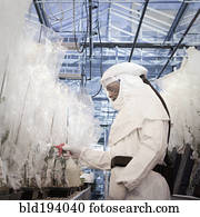 cientista, em, ação judicial limpa, trabalhando, em, estufa