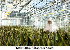 cientista, em, ação judicial limpa, trabalhando, em, estufa