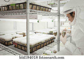 meio oriental, cientista, em, ação judicial limpa, em, laboratório