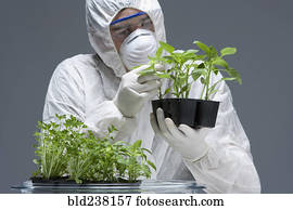 caucasiano, cientista, desgastar, ação judicial limpa, examinando, seedling