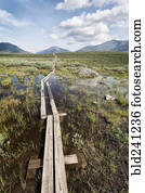 boardwalk, em, pântano, perto, montanhas