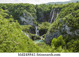 cachoeiras, em, floresta