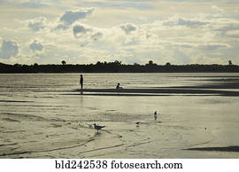 Distant birds and people in waves on beach