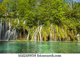 árvores, sobre, cachoeiras