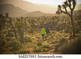 Distant boys walking in desert