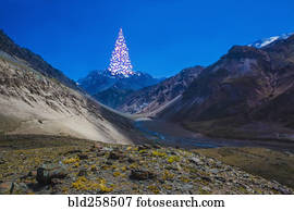 Distant Christmas tree on mountain