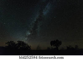 estrelas, em, céu noite