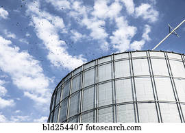 pássaros voando, perto, silo