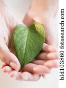 Cape Verdean woman holding green leaf