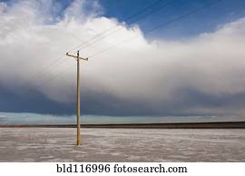Lone Power Pole