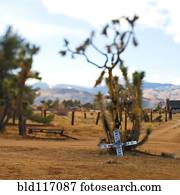 Old Railroad Crossing Sign in Desert