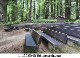 Open air theatre space in a clearing in Redwood National park
