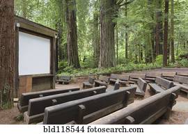 Open air theatre space in a clearing in Redwood National park