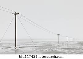 Telephone Poles in Bleak Winter Landscape