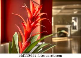 The Meadow at Falcon Ridge