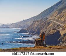 Tree Carved Chair Overlooking Beach