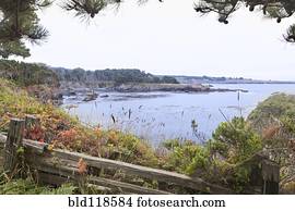 Viewpoint along the Mendocino Coast