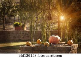 Pumpkins on stone well