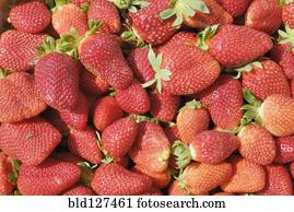 Strawberries full frame