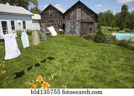 Clothesline and green lawn in backyard