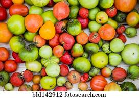 Close up of abundance of variety of tomatoes