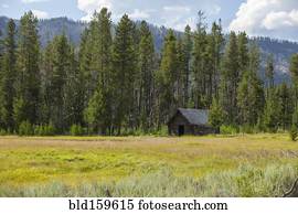abandonado, rústico, cabana, em, remoto, campo