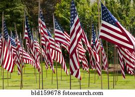 bandeiras americanas, em, capim, gramado