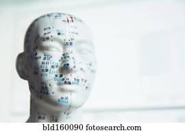 Close up of carved bust with acupuncture diagram