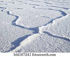 Close up of piles in salt flats 