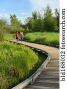 crianças, andar, ligado, passeio madeira, em, wetland, pântano