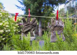 Gardening gloves drying on clothesline in backyard