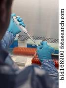 raça misturada, cientista, pipetting, solução, em, tubos teste, em, laboratório