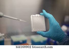 raça misturada, cientista, pipetting, solução, em, recipiente, em, laboratório